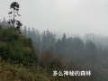《美丽的云南》01、云南我来了