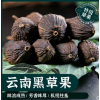 云南特产香料 黑草果 炖肉 卤味 腌制 香甜浓郁足干大料200克包邮